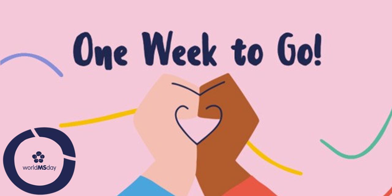 23.05.2020  Всемирный день рассеянного склероза. Осталась одна неделя